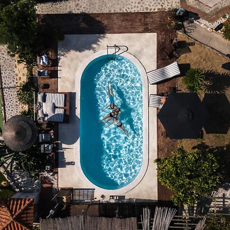 Ferienwohnung João Jungle Acafora Exterior foto