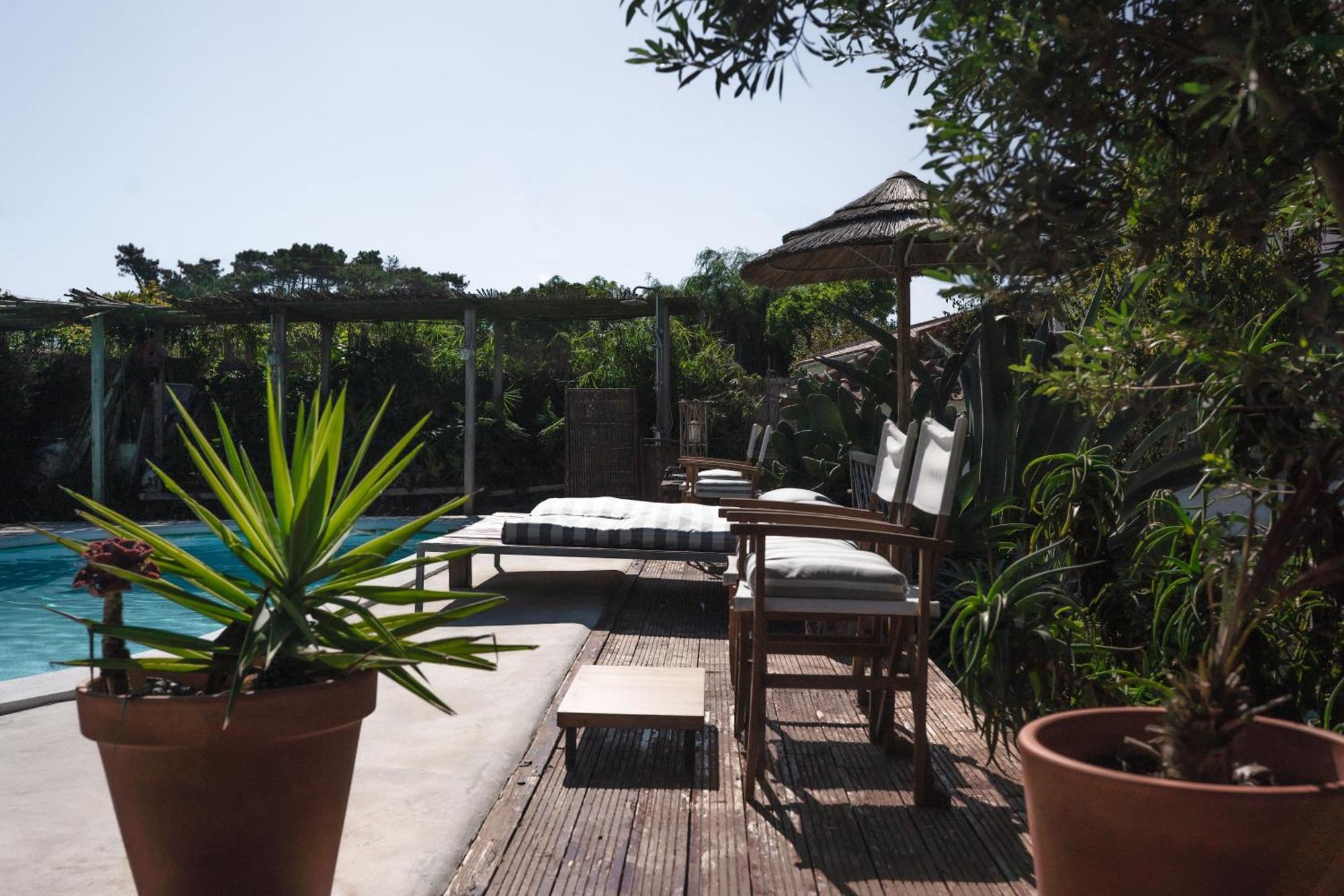 Ferienwohnung João Jungle Acafora Exterior foto